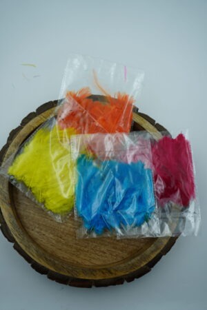Colorful Craft Feathers