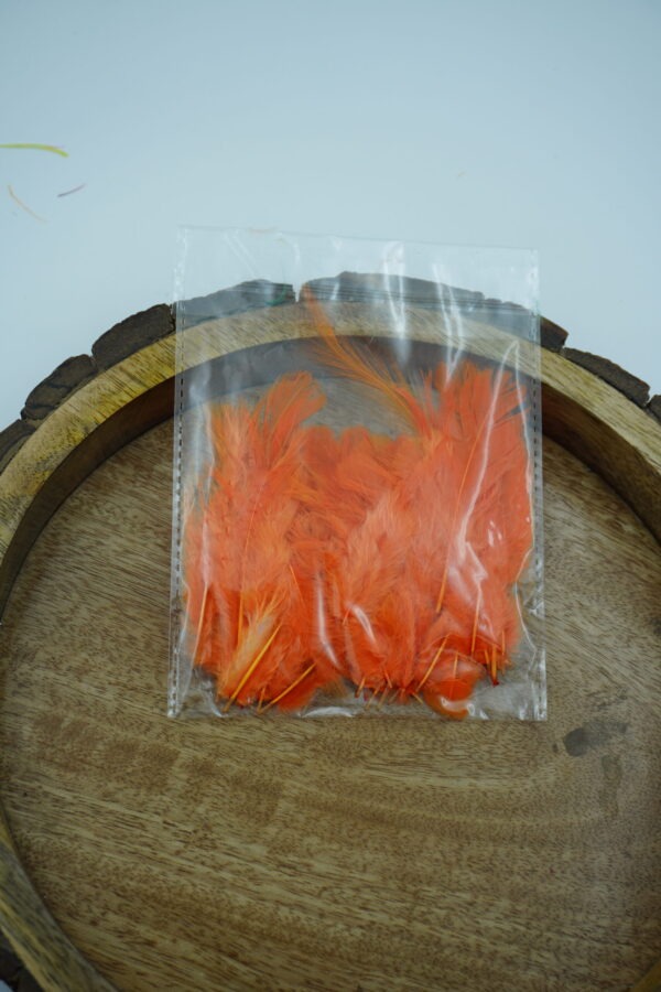 Colorful Craft Feathers