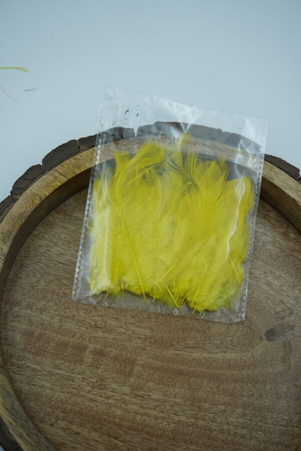 Colorful Craft Feathers