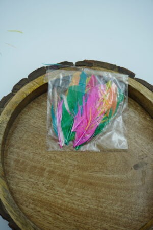 Decorative Craft Feathers