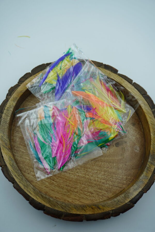 AG-CS-11-B-scaled-1.jpg Decorative Craft Feathers