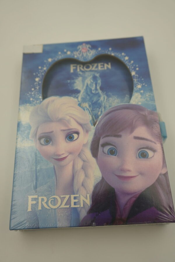 Diary / Frozen notebook
