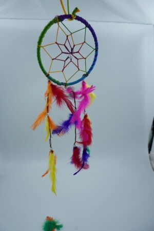 Dream Catcher Small