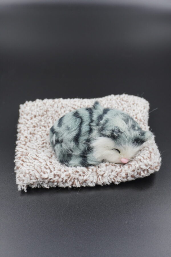 Sleeping cat small