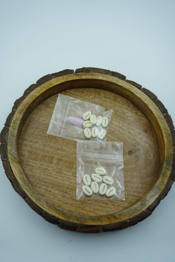cowrie shells