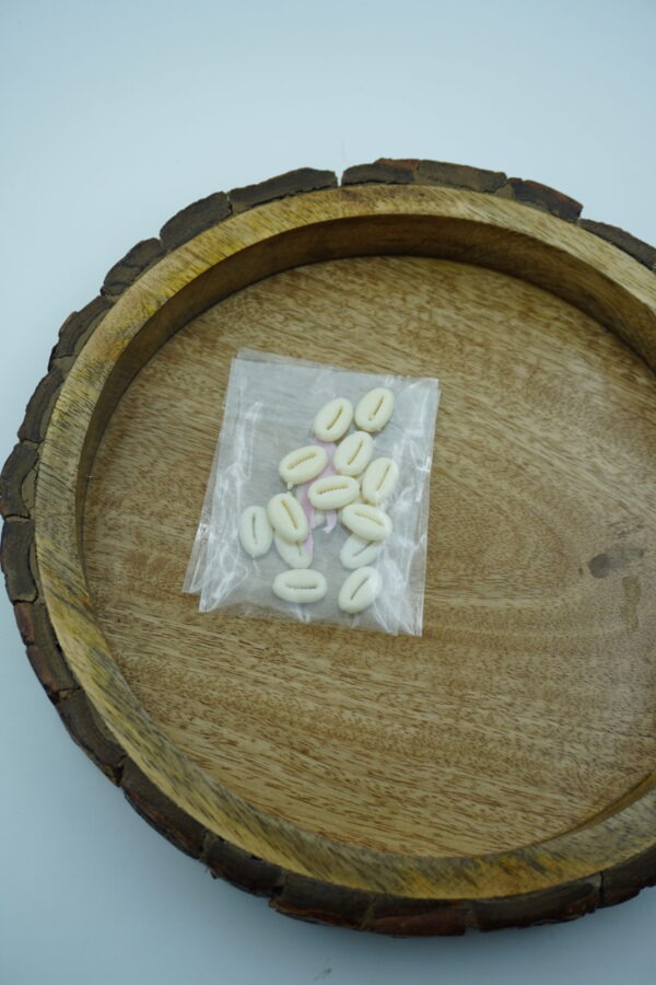 cowrie shells
