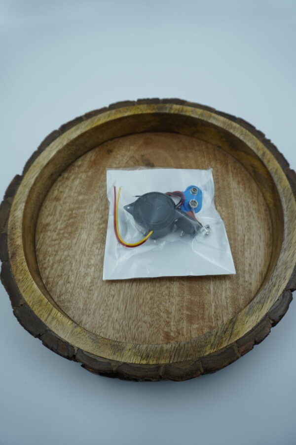 Electronic Buzzer set