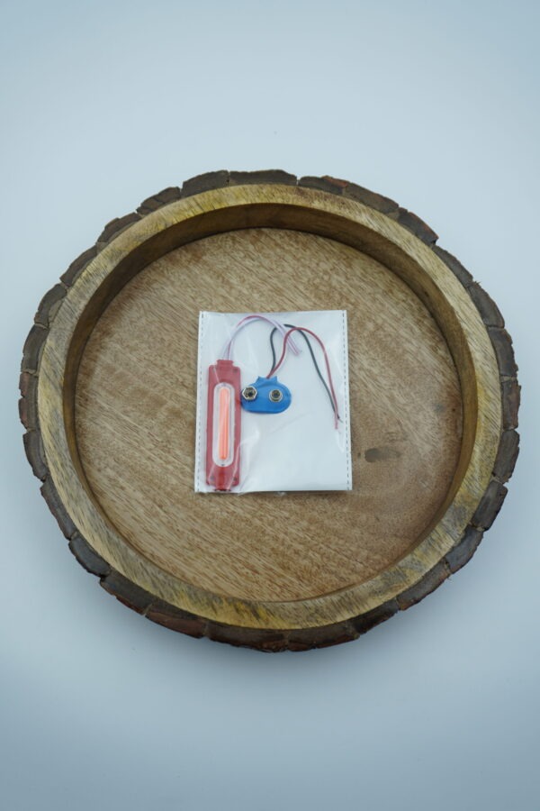 Capsule 2 Pin LED Bulb